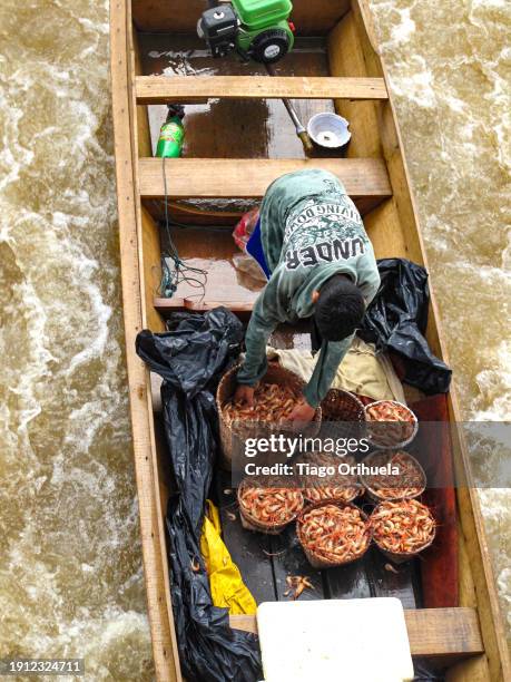 amazon river - molhado stock pictures, royalty-free photos & images