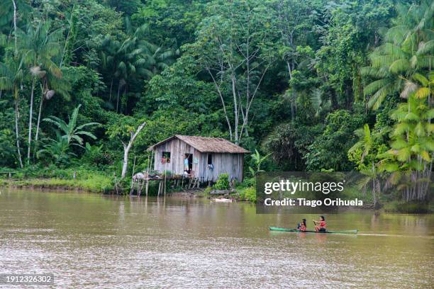 ribeirinhos, people who live on the banks of the amazon river - molhado stock pictures, royalty-free photos & images