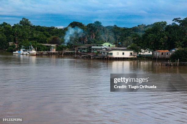 amazon river - molhado stock pictures, royalty-free photos & images