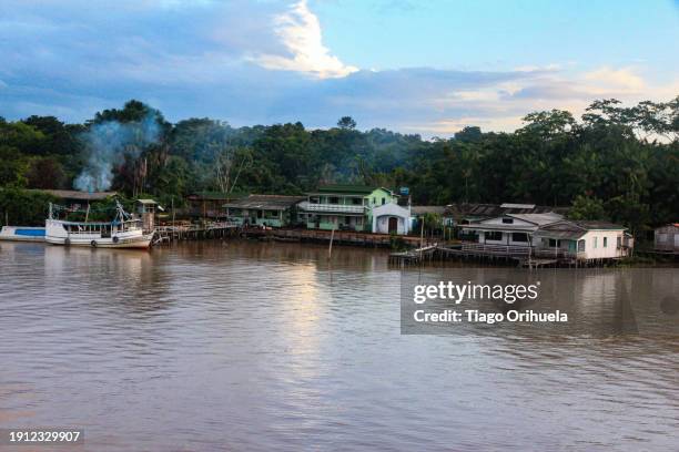 amazon river - molhado stock pictures, royalty-free photos & images