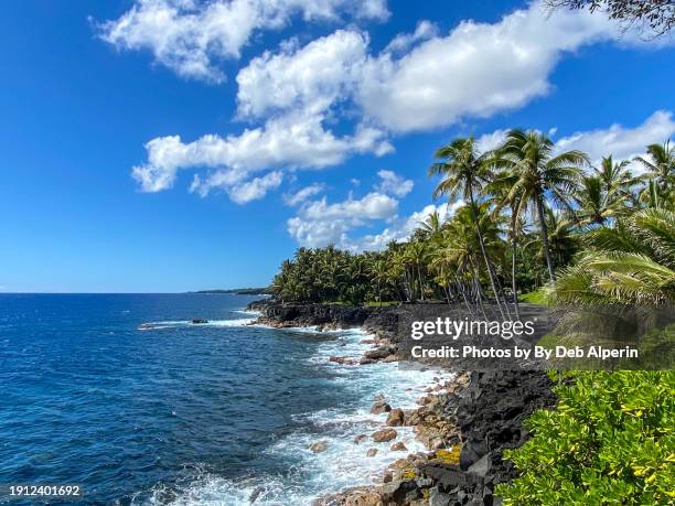 hawaiian coastline with ocean, clouds, and blue skies - puna stock pictures, royalty-free photos & images