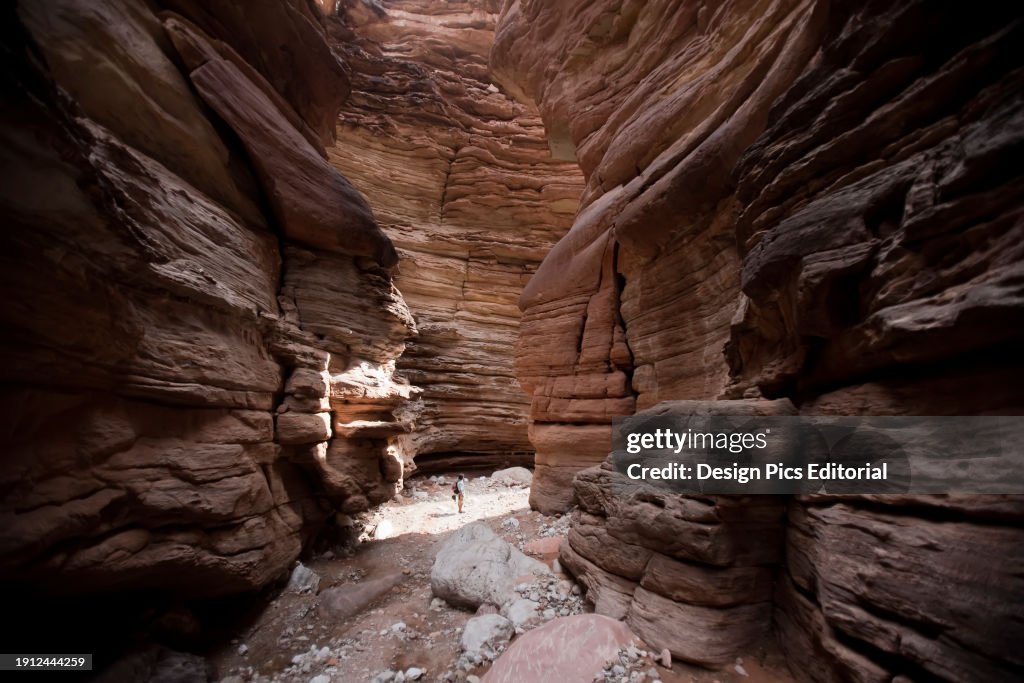 A hiker in Blacktail Canyon, deep in the Grand Canyon