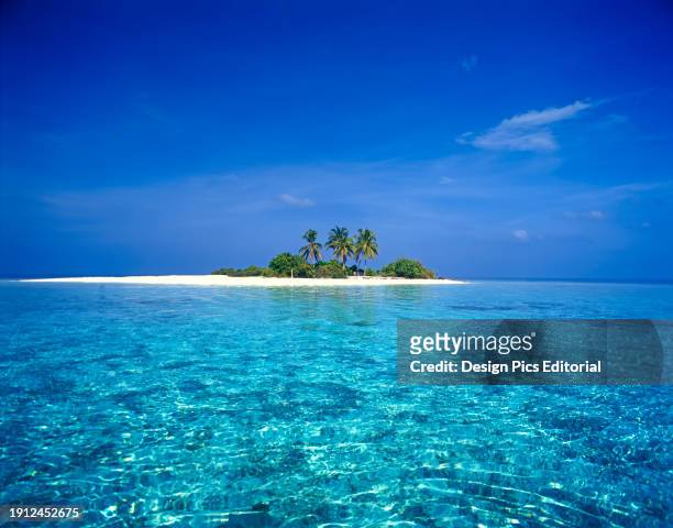 Small island in the Maldives with palm trees and white sand. Maldives.