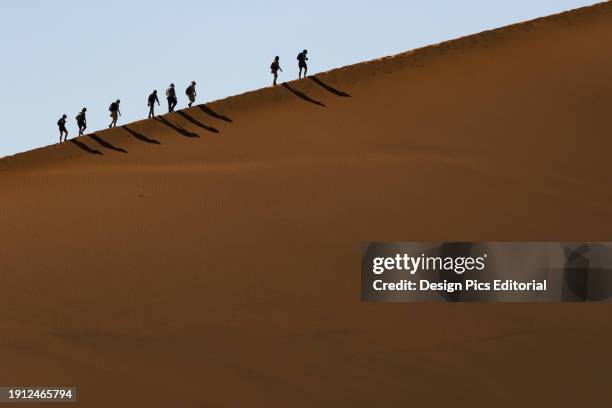 Group Of People Walking Up A Large Sand Dune In The Namib Desert, Sossusvlei. Namibia.