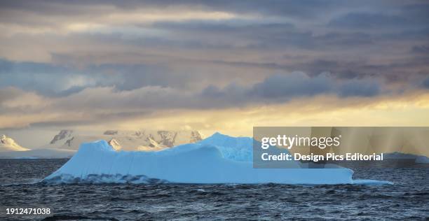 Icebergs In Gerlache Strait, Antarctic Peninsula. Antarctica.