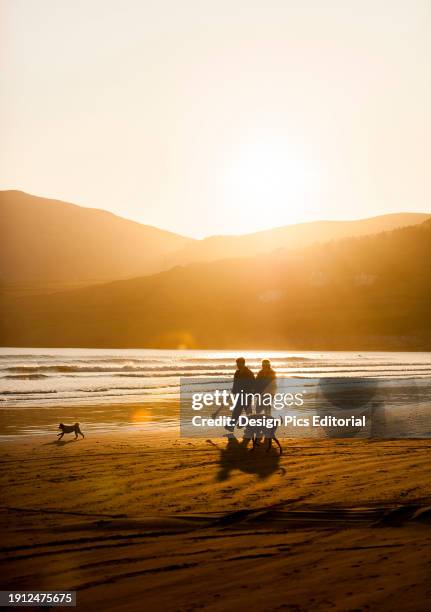 The sun sets behind a couple walking on the beach with their two dogs at Inch Beach, on the Dingle Peninsula of County Kerry, Ireland.