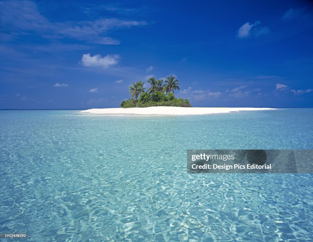 Small Island In The Maldives With Palm Trees And White Sand Maldives small-island-in-the-maldives-with-palm-trees-and-white-sand-maldives