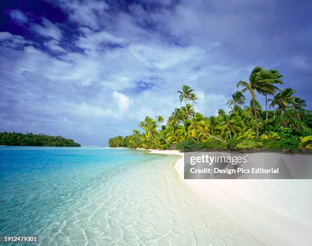 Palm trees on the white sand beach of One Foot Island with turquoise ocean water of the South Pacific. Cook Islands.