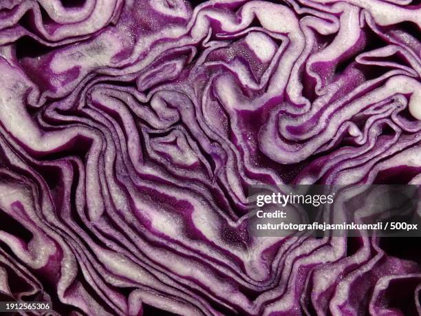full frame shot of red cabbage - red cabbage stock pictures, royalty-free photos & images