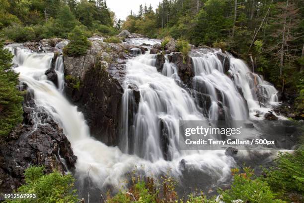 scenic view of waterfall in forest - terry woods stock pictures, royalty-free photos & images