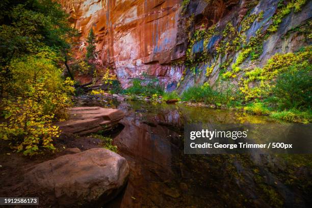 Oak Ridge Az Landscape 60 Oak Trees In Arizona Stock Photos, High-Res Pictures, and Images ...