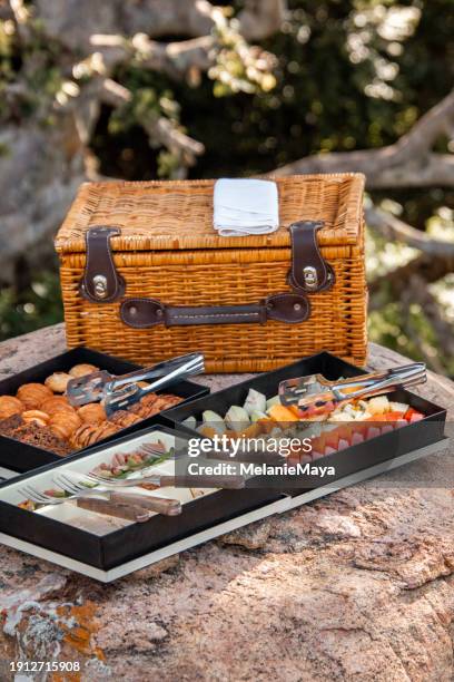 safari bush picnic with food baskets, snacks, fruit and drinks at yala national park bush rocks - yala stock pictures, royalty-free photos & images