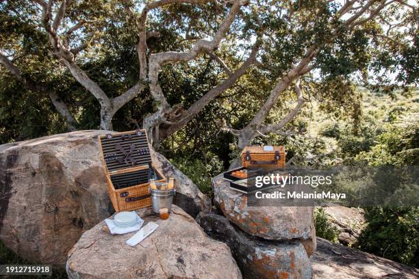 safari bush picnic with food baskets, snacks, fruit and drinks at yala national park bush rocks - yala stock pictures, royalty-free photos & images