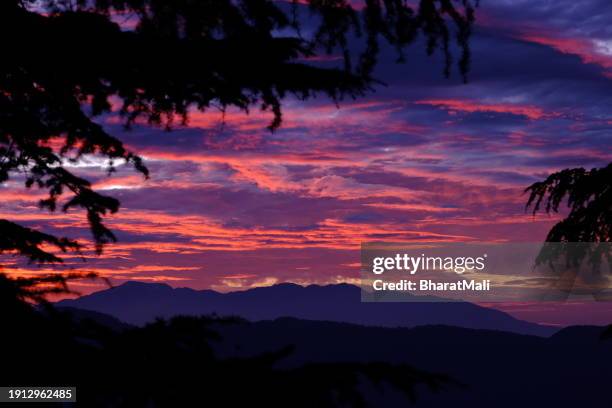 sunlight - getty museum stock pictures, royalty-free photos & images