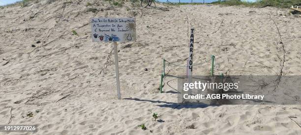 Beach, Pirambu, Sergipe, Brazil.