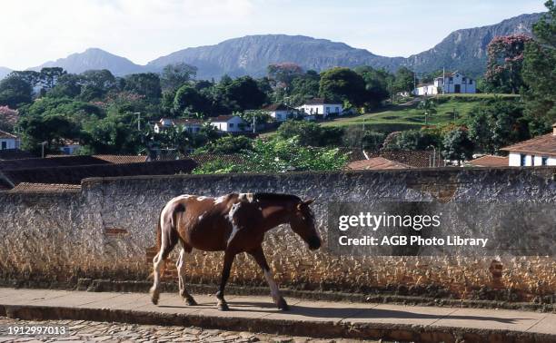 Horse, animal, landscape, Tiradentes, Minas Gerais, Brazil .