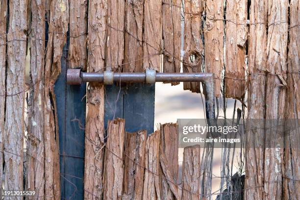 an old, rusted lock on a damaged wooden door with holes and rusted wire fastening - hasp bildbanksfoton och bilder