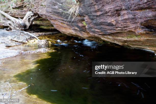 672 Stream Vortex Stock Photos, High-Res Pictures, and Images - Getty ...