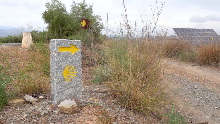 146 Camino De Santiago Walking Stock Videos, Footage, & 4K Video Clips - Getty Images