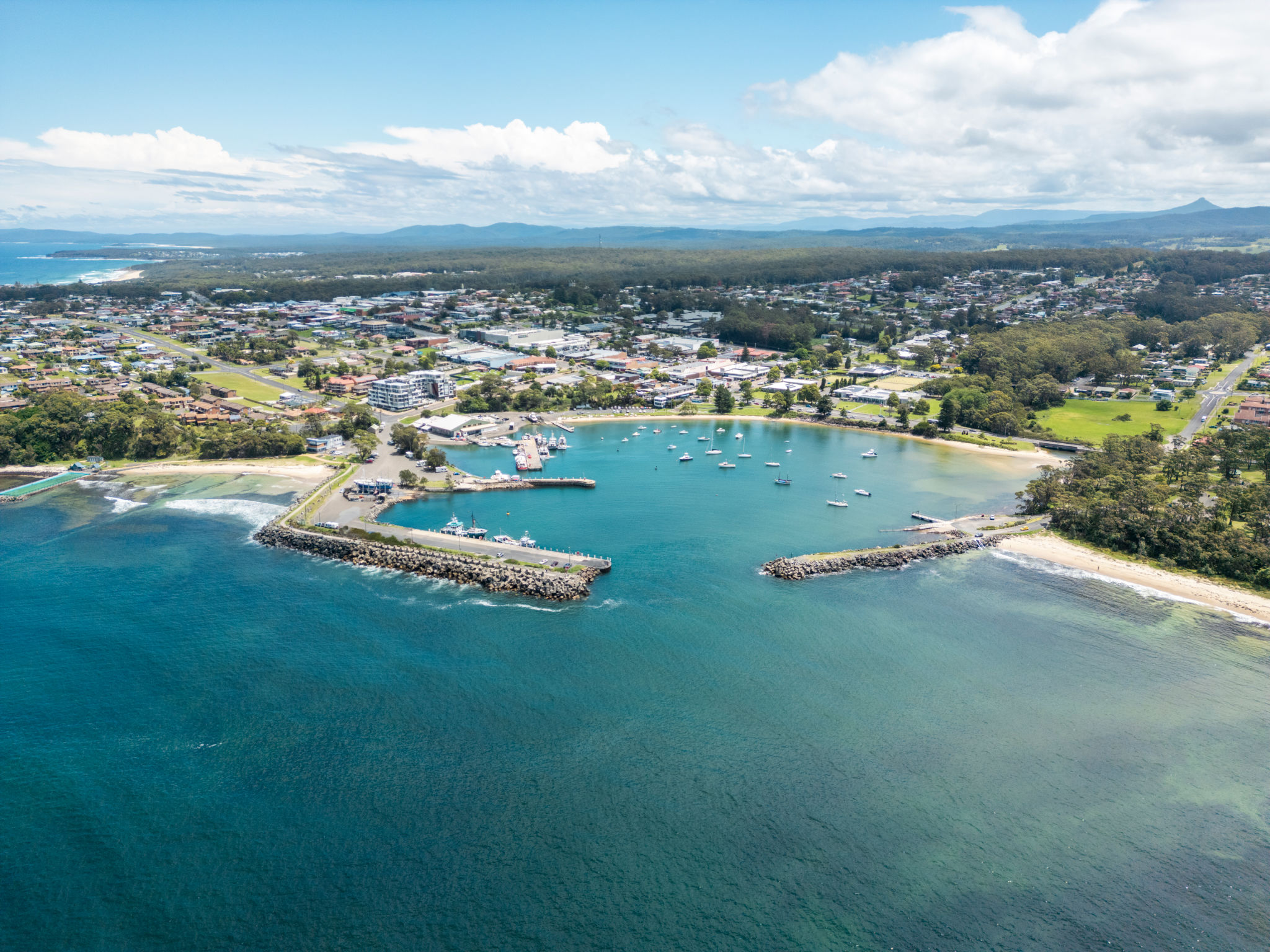 nsw south coast seafood