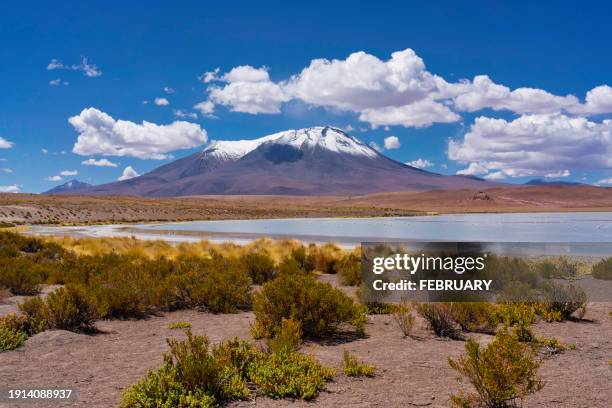 salares laguna - bolivian andes stock pictures, royalty-free photos & images