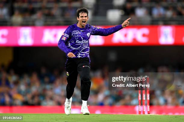 Paddy Dooley of the Hurricanes celebrates dismissing b8 during the BBL match between Brisbane Heat and Hobart Hurricanes at The Gabba, on January 07...