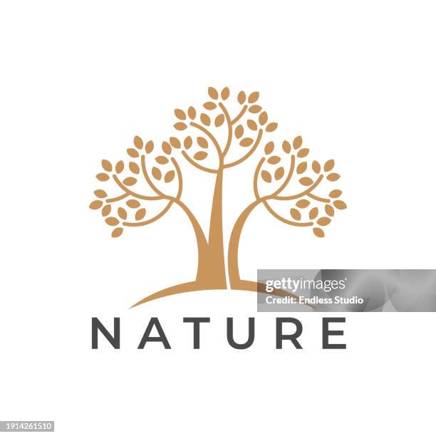 botanic tree vector logo icon design - botanik stock illustrations