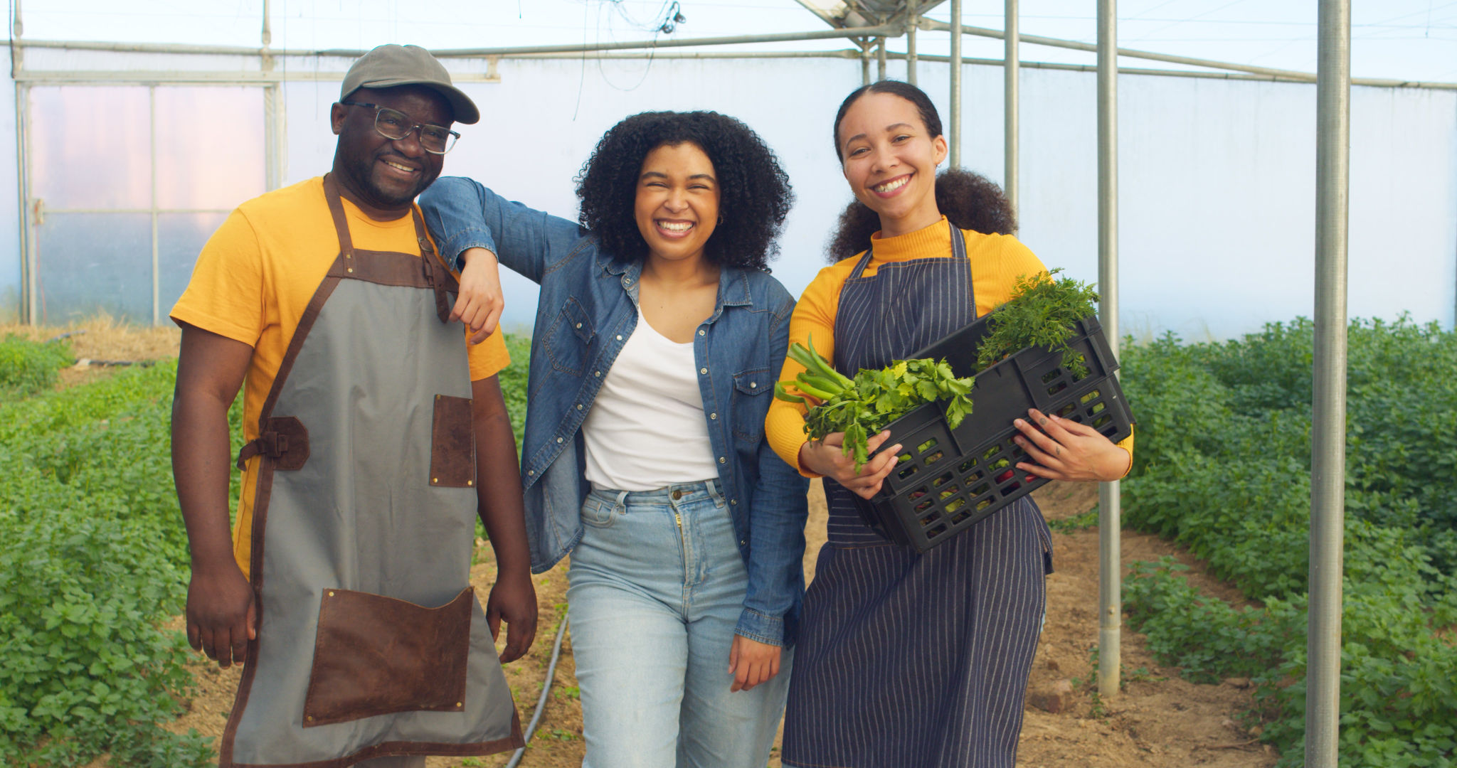 small business herbs