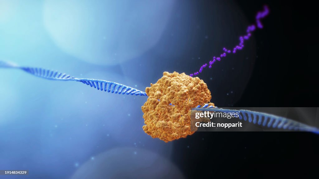 RNA-Molekül.