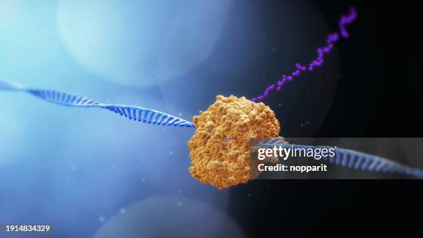 molécule d’arn. - mutation génétique photos et images de collection