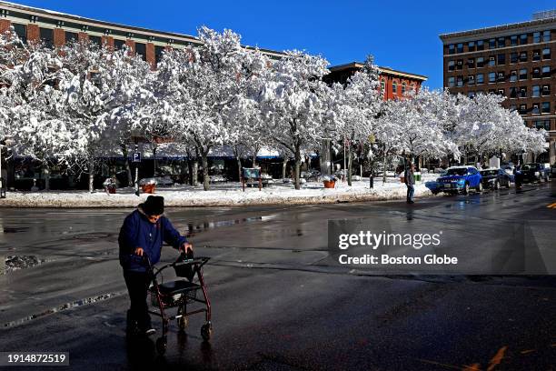 Haverhill, MA An elderly woman using her walker makes her way across the street near Essex Street with snow covered tress at Washington Square in...