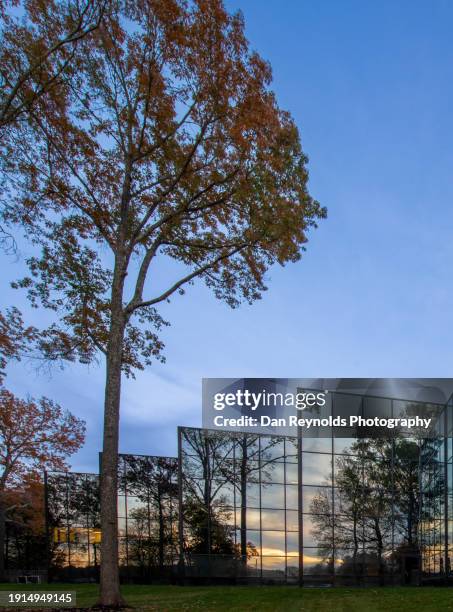 financial building exterior - nashville skyline daytime stock pictures, royalty-free photos & images