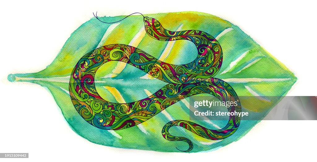 Snake leaf