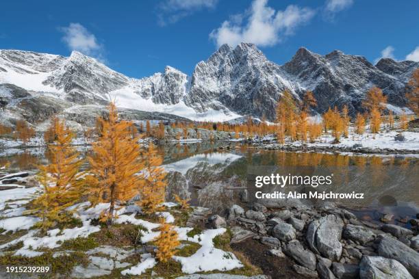 Amen Rajar 93 Amen Ra Stock Photos, High-Res Pictures, and Images - Getty Images