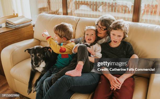 a grandmother enjoys the company of her young grand children. - multi generational family with pet stock pictures, royalty-free photos & images