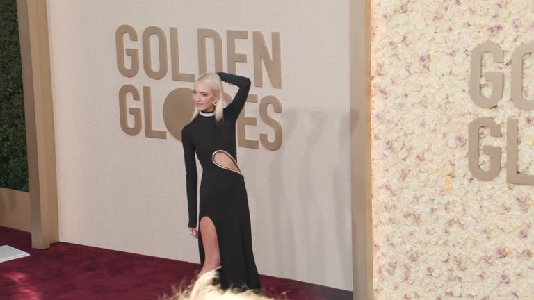 Golden Rassi 22 Jan Roberts Stock Videos, Footage, & 4K Video Clips - Getty Images