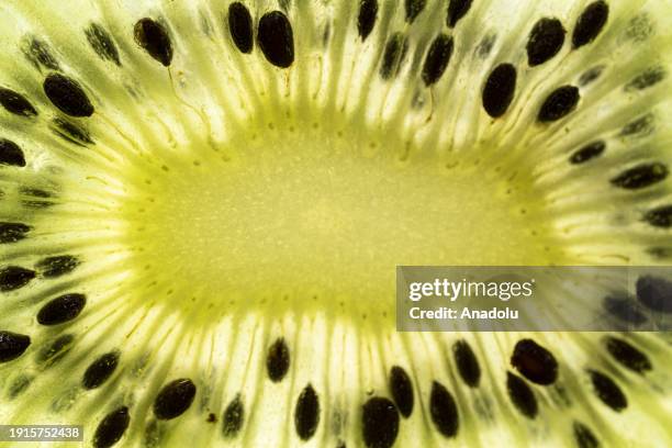 Slice of kiwi is pictured in Ankara, Turkiye on January 05, 2024.