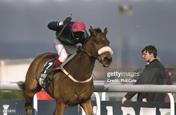 Mick Fitzgerald on Rough Quest races during the Grand National at Aintree racecourse, Liverpool, England. Rough Quest went on to win the race. \...