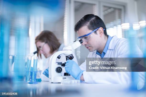 two scientists analyzing chemical data to researchers medicine for healthcare industry at laboratory - genetic research stock pictures, royalty-free photos & images