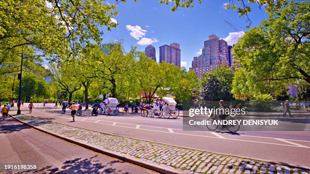 usa, new york, new york city, central park. - new york basks in sunny indian summer day stock-fotos und bilder