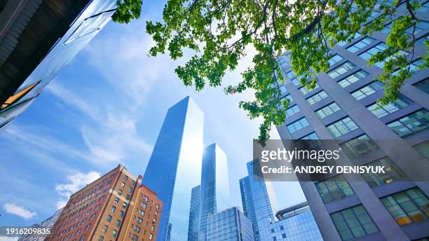 eco city concept.  tree, financial and residential building. manhattan. new york. - new york spring spectacular stock-fotos und bilder