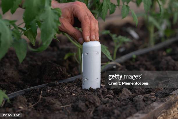 man gardener using soil testing device in greenhouse - agricultura inteligente fotografías e imágenes de stock