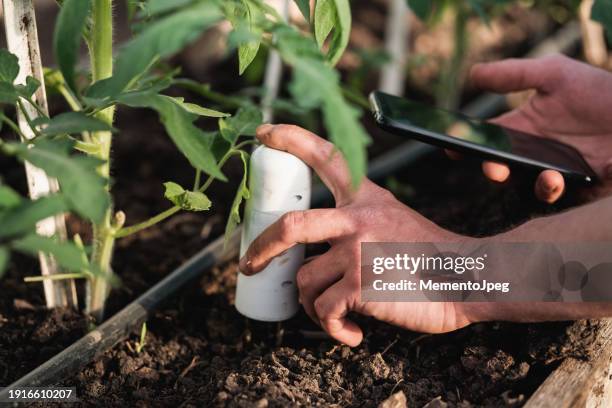 gardener using mobile app checking monitoring soil moisture with smartphone - sensor stock pictures, royalty-free photos & images
