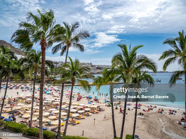 view of the beach and town of anfi del mar on the island of gran canaria, spain. - gran canaria bildbanksfoton och bilder