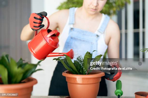 vista de frente mujer joven regando las plantas en su hogar - vista de frente stock pictures, royalty-free photos & images