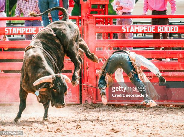 rodeo cowboy thrown from bareback bull - anti gravity stock pictures, royalty-free photos & images