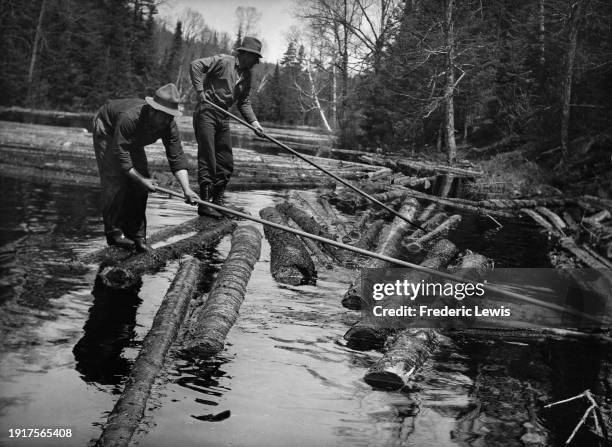 12 Man Drivin Photos & High Res Pictures - Getty Images