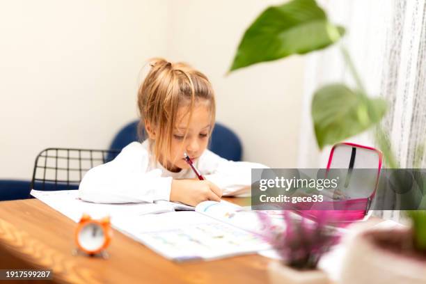 the happy schoolgirl sitting at the desk with books - text book stockfoto's en -beelden