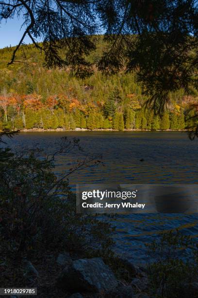 autumn at bubble pond in acadia national park - bubble pond stock-fotos und bilder