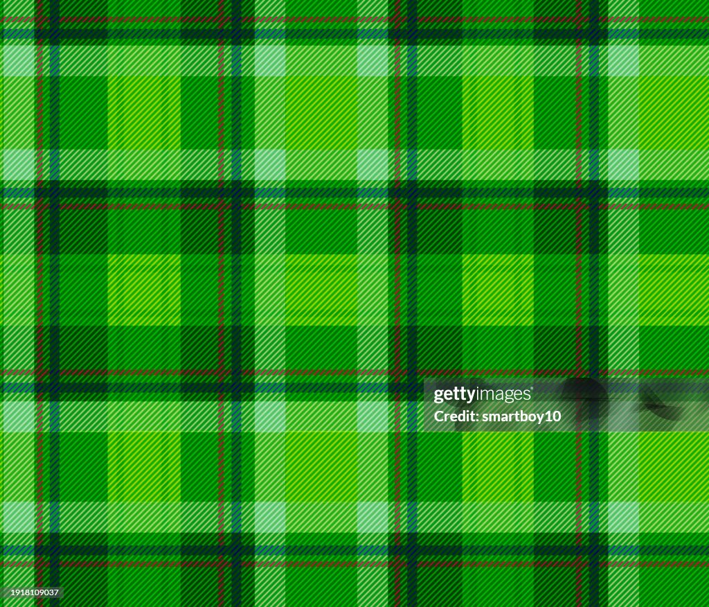Tartan or Plaid Pattern